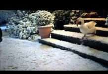 Підбірка забавною реклами