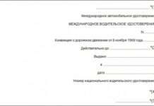 Додаток 7. Міжнародне водійське посвідчення