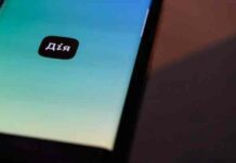 Українці сможуть розмитнювати авто в режимі онлайн