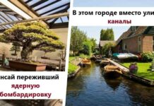 30 + фото і відео з фактами, дивлячись на які важко повірити, що все це чиста правда