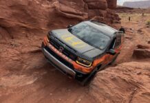 Из Художественной Школы на Автомобильные Династии: Путь Эланы Шерр