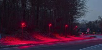 Le Danemark adopte des lampadaires rouges pour protéger les chauves-souris, pionnier de la technologie des villes intelligentes