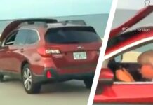 Właściciel Subaru znalazł nieoczekiwany problem dotyczący bezpieczeństwa: podniesiona maska na moście Florydy