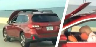Motorista de Subaru encontra caso extremo para tecnologia de segurança: perigo de capuz na ponte da Flórida