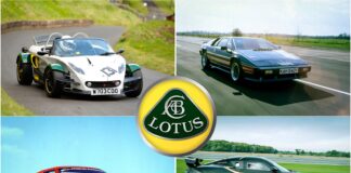 Lotus: os mais vendidos e os que mal existem