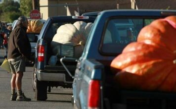 How to Calculate Your Vehicle’s Payload Capacity Safely