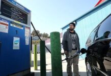 Що таке біодизель: правда про автомобілі на біопаливі