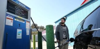 What Is Biodiesel: The Truth About Biofuel Cars