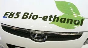 Il futuro del carburante Switchgrass